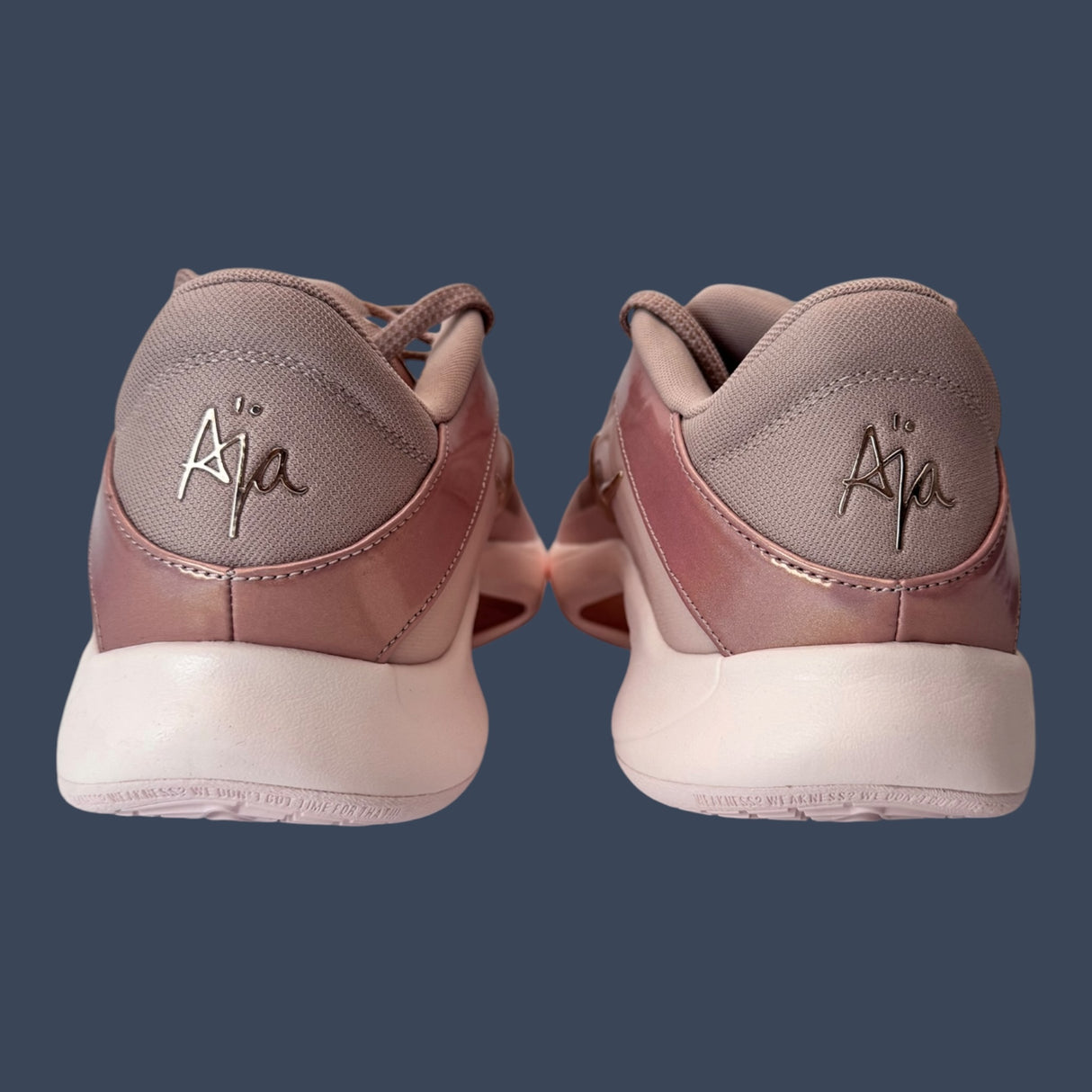 Nike A'One Stone Mauve / Metallic Red Bronze / Silt Red | FB8605-200