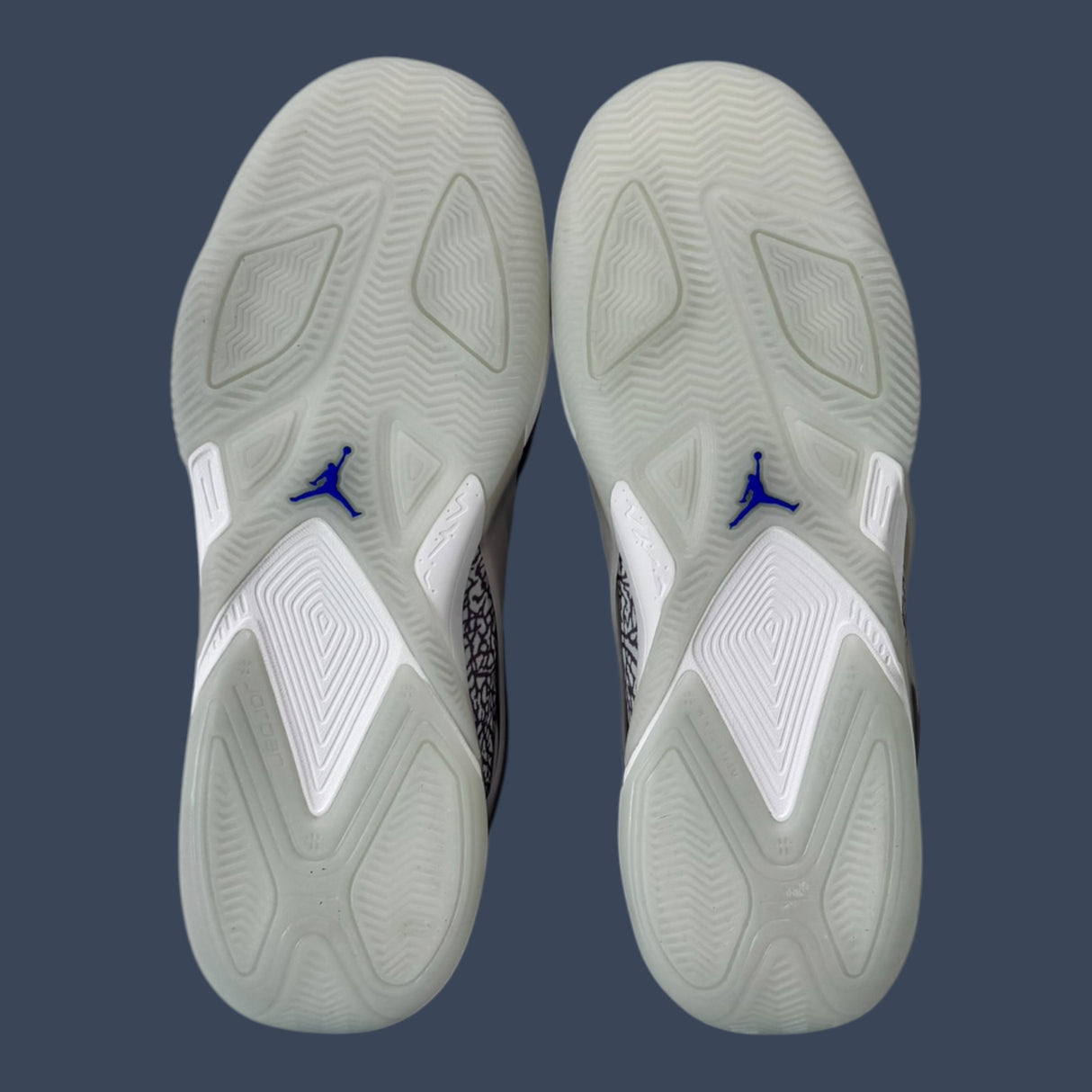 Jordan Heir Purple Smoke/Light Silver | FZ2471-501