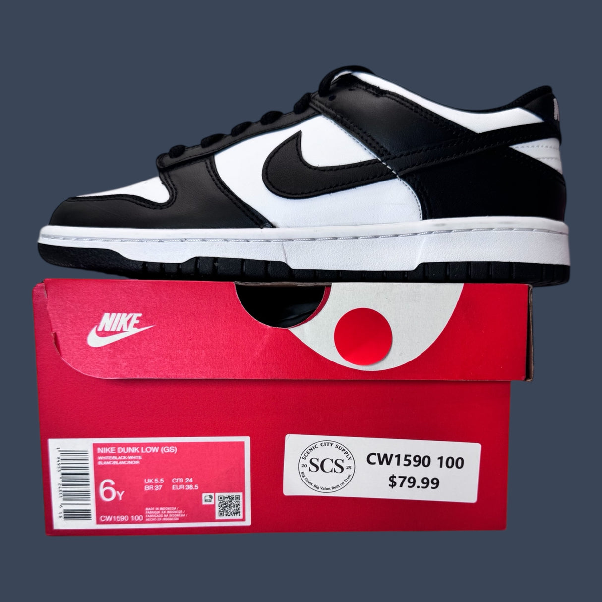 Youth Nike Dunk Low White Black CW1590-100