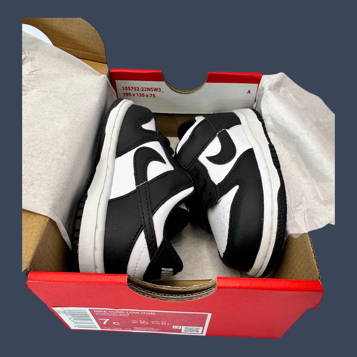 Nike Dunk Low TDE White Black CW1589-100