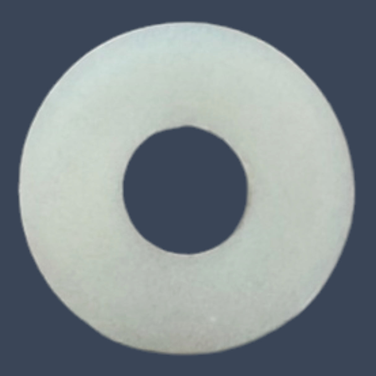 Micro Matic 763-D | Set of 10 Beer Gas Plastic CO₂ Inlet Washers | OEM Keg Coupler Replacement Seals