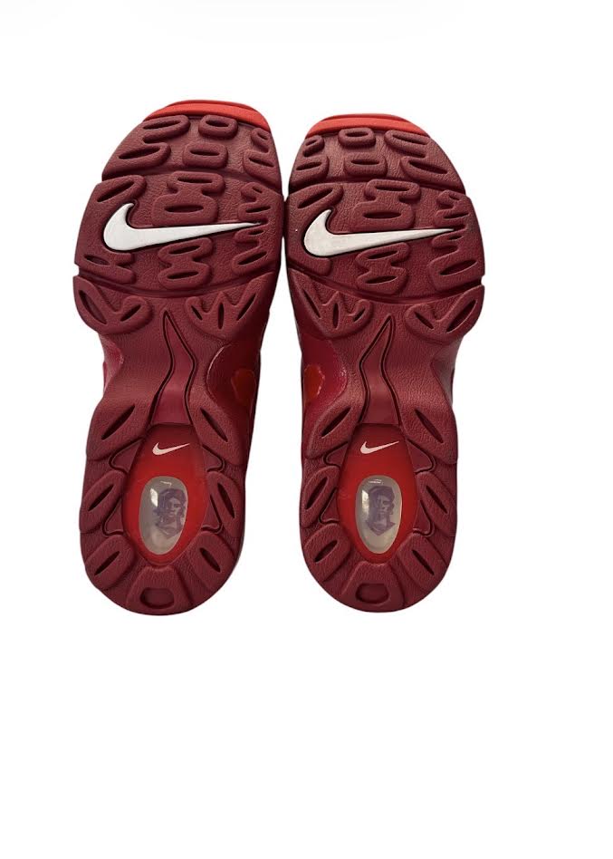 Nike Air DT Max ’96 University Red Size 9 IF1617-600