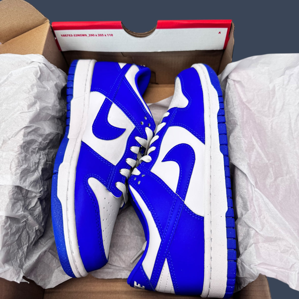 Nike Dunk Low GS Racer Blue/White – DV7067-400