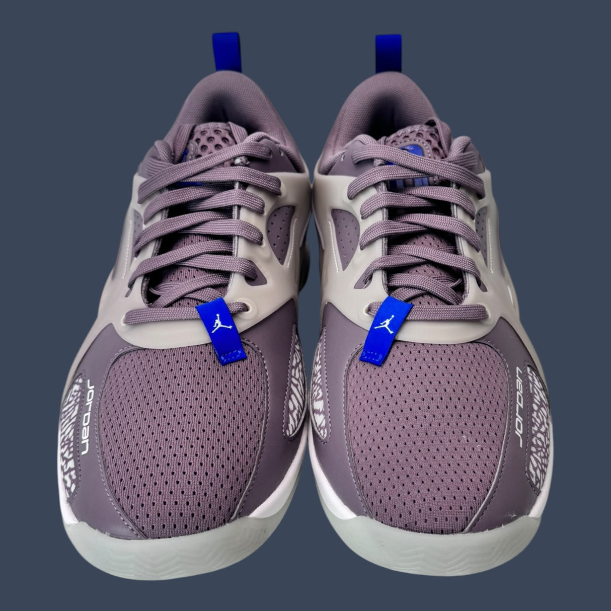 Jordan Heir Purple Smoke/Light Silver | FZ2471-501