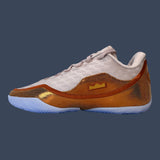 Nike LeBron XXIII | Silt Red/Metallic Copper-Black | IH1513-602