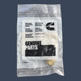 Cummins | 4078744 |  Genuine OEM Hexagon Cap Nut Diesel Engine Fastener