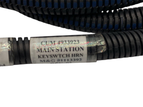 Genuine Cummins 4933923 Main Station Key Switch Harness