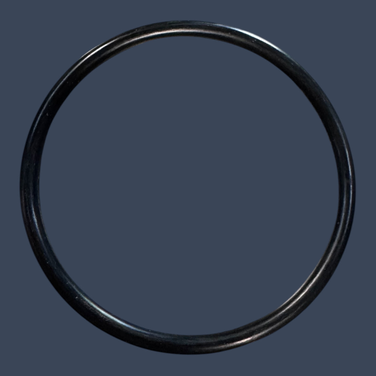 Micro Matic FD-1G | Foam Control Gasket O-Ring | PRO-MAX-1 Glass Chamber Replacement Seal